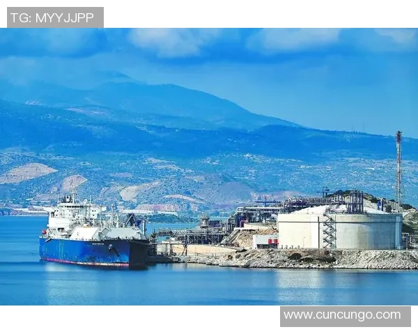 深度探讨周强在王者荣耀中的成长与挑战之路